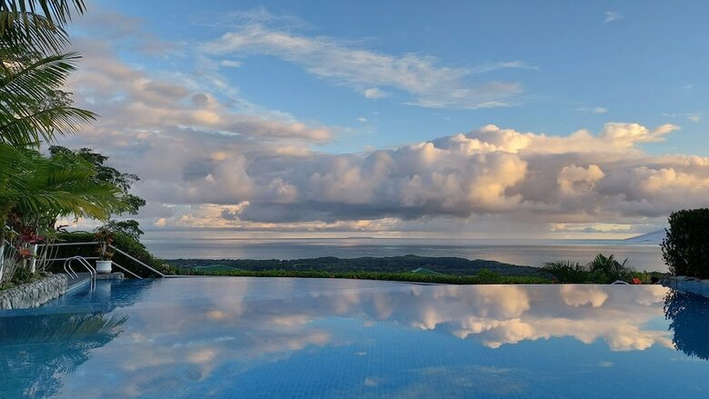 Hotel Whales  And  Dolphins