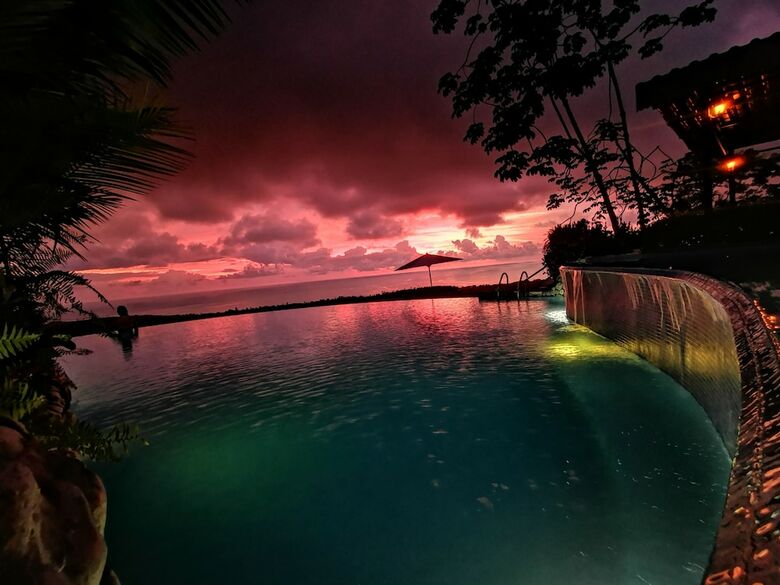 Hotel Whales  And  Dolphins