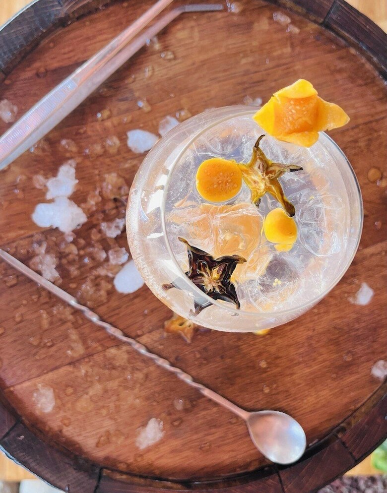 Hotel Whales  And  Dolphins