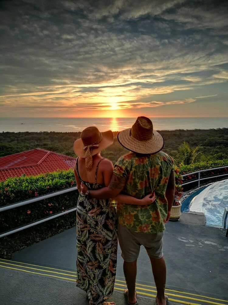 Hotel Whales  And  Dolphins