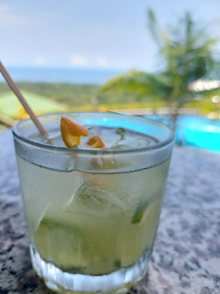 Hotel Whales  And  Dolphins