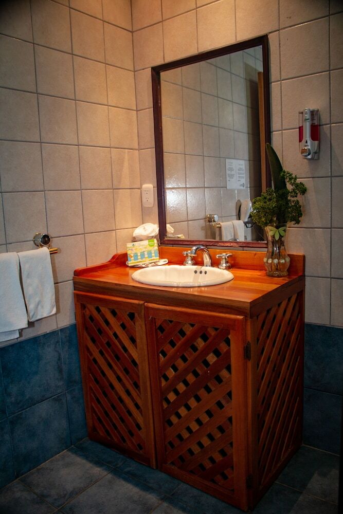 Hotel Whales  And  Dolphins