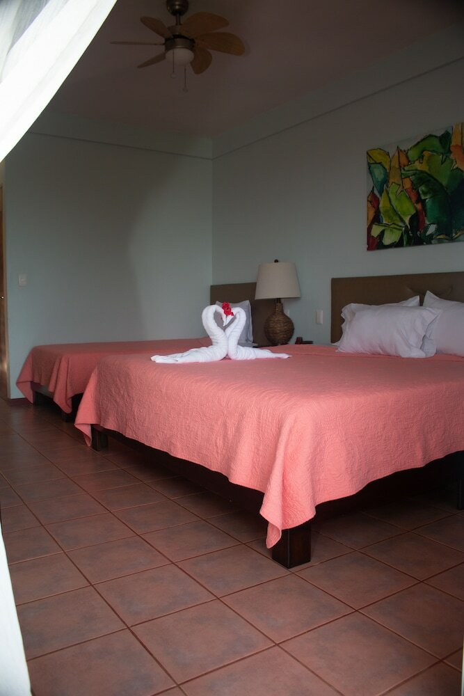 Hotel Whales  And  Dolphins