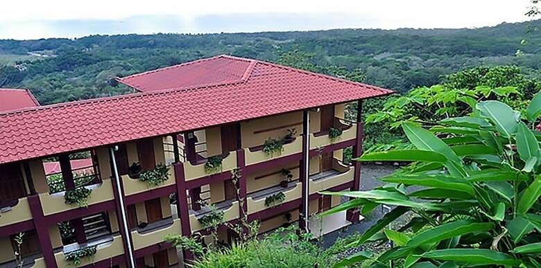 Hotel Whales  And  Dolphins