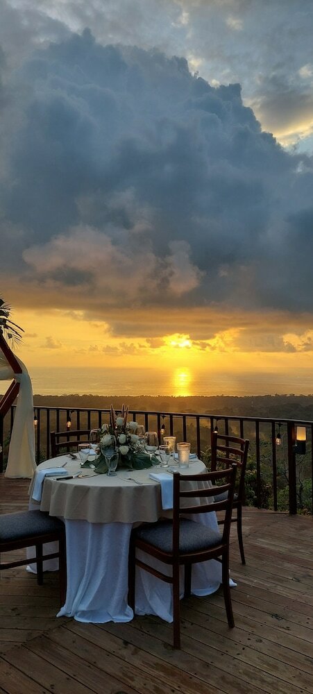 Hotel Whales  And  Dolphins