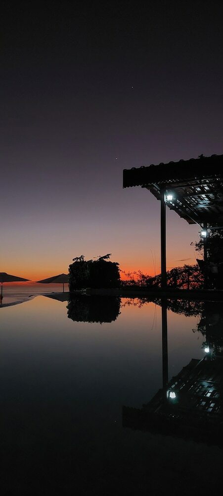 Hotel Whales  And  Dolphins