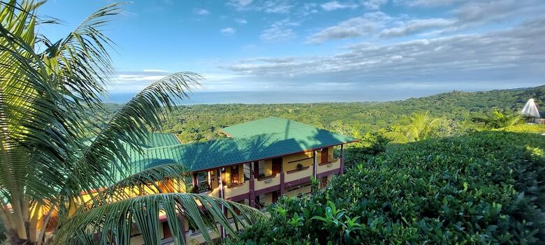 Hotel Whales  And  Dolphins