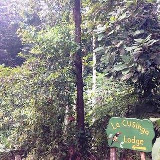 Hotel La Cusinga Lodge