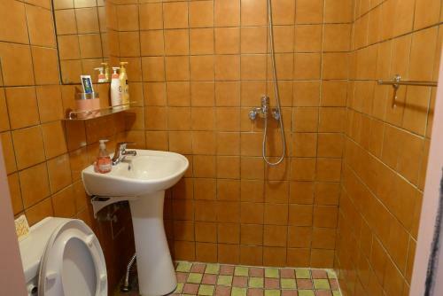 The House Hostel