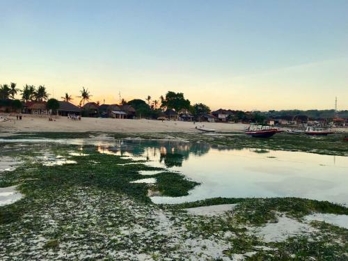 Hostal Lembongan Tropical