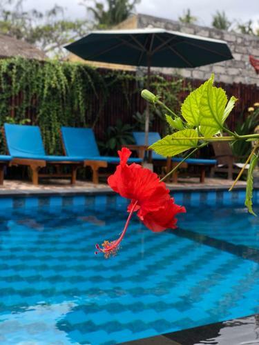 Hostal Lembongan Tropical
