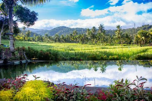 Bed & Breakfast Amartya Puri Green Cottages