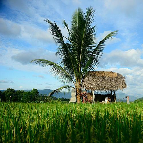 Hotel Sanak Retreat Bali