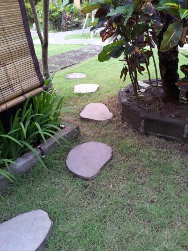 Medori Putih Homestay