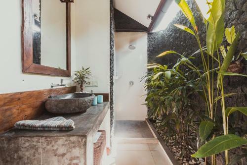 Hostal Big Brother Surf Inn