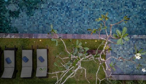 Bilin Tree House