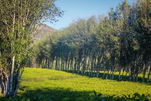Agroturismo Hatale Mini World's End Bungalow