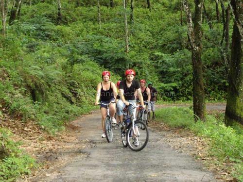 Hotel Sinharaja Adventure Resort