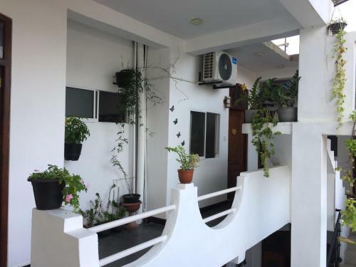 Hostal Anna Tourist Inn