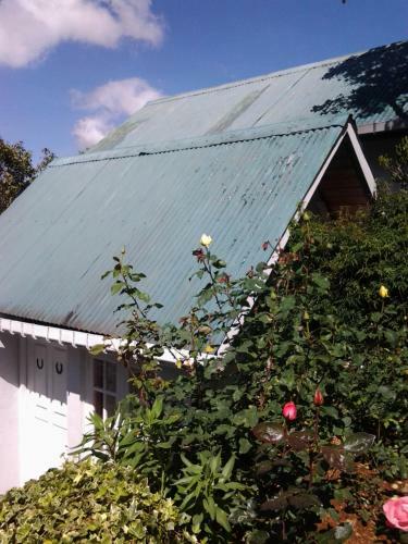 Hostal Guest House Sincere Wilderness