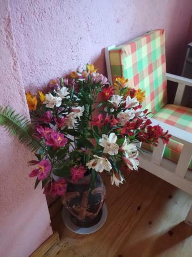 Hostal Guest House Sincere Wilderness