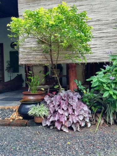 Grand Traverse Homestay
