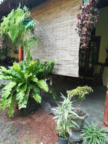 Grand Traverse Homestay