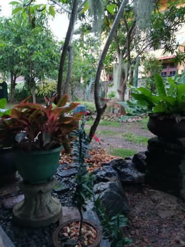 Grand Traverse Homestay