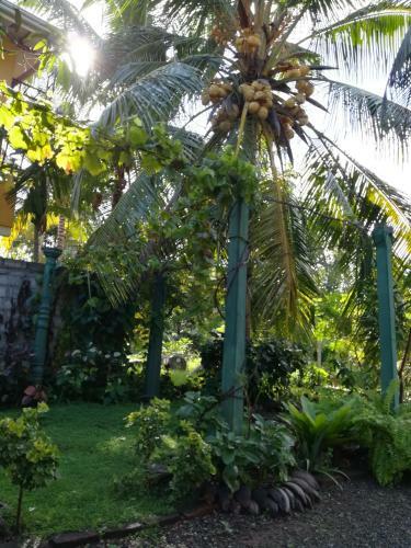 Grand Traverse Homestay
