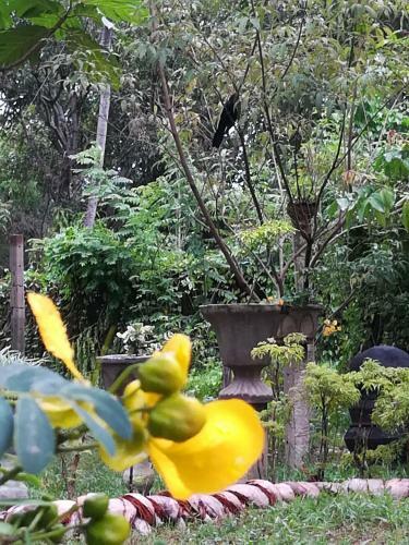Grand Traverse Homestay