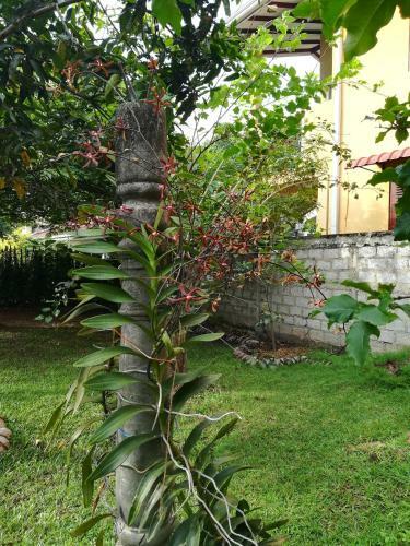 Grand Traverse Homestay