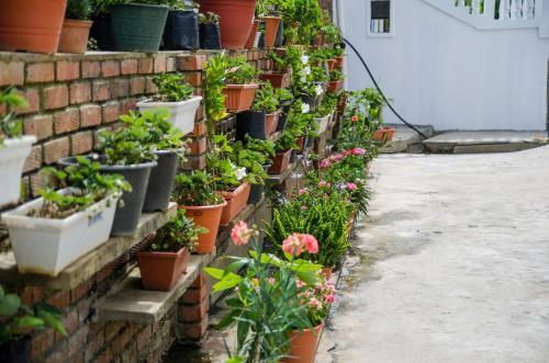 Kundasang Guesthouse