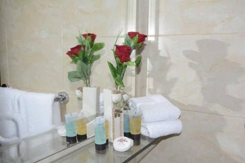 Safari House Hotel