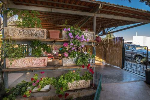 Hostal Desert Bird Guest House