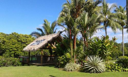 Hotel Club Oceanus Resort