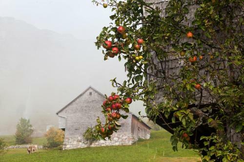 Hotel Arvenb�el