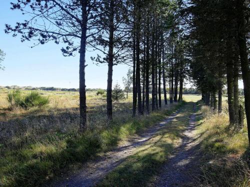 Three-bedroom Holiday Home In Skagen 9