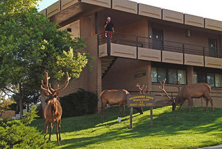 Hotel Kachina Lodge