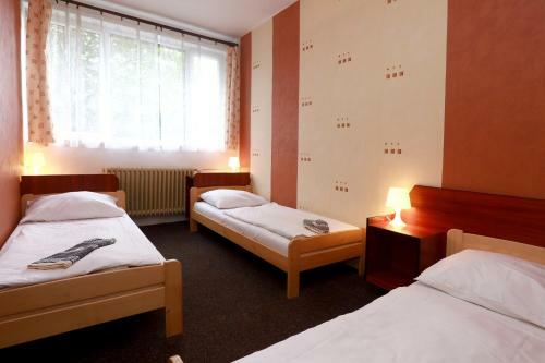 Hotel Zimn� Stadion N�chod