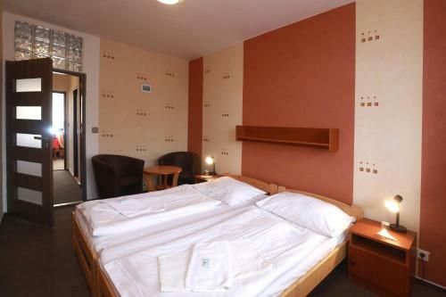 Hotel Zimn� Stadion N�chod