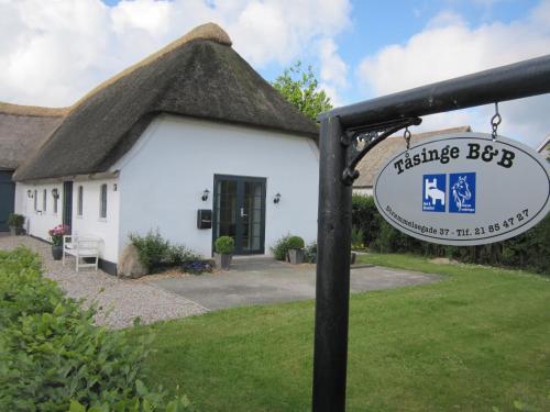 T�singe B&B