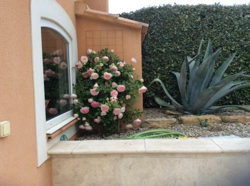 Bed & Breakfast Les Lavandes