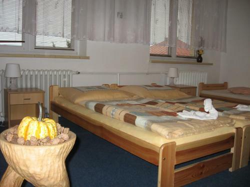 Hostal Penzion Vyso?ina