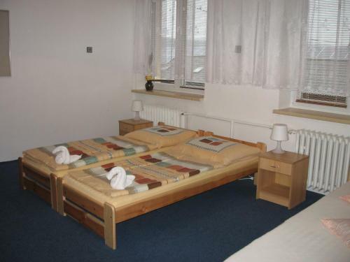 Hostal Penzion Vyso?ina