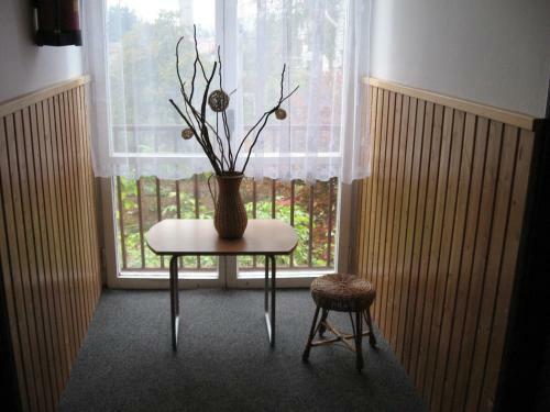 Hostal Penzion Vyso?ina