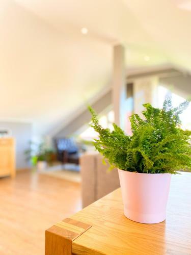 Apartamento Fewo Sulzer Siedlung Erfurt