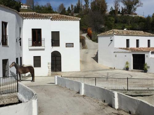 Apartamento Molino De Saladilla