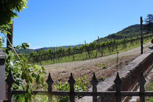 Bed & Breakfast Fattoria Le Sorgenti
