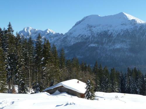 Hotel G�stehaus Inzeller Hof