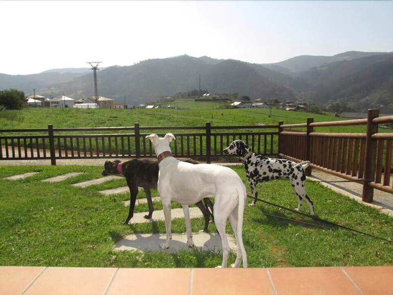 Agroturismo Apartamentos Rurales La Torre